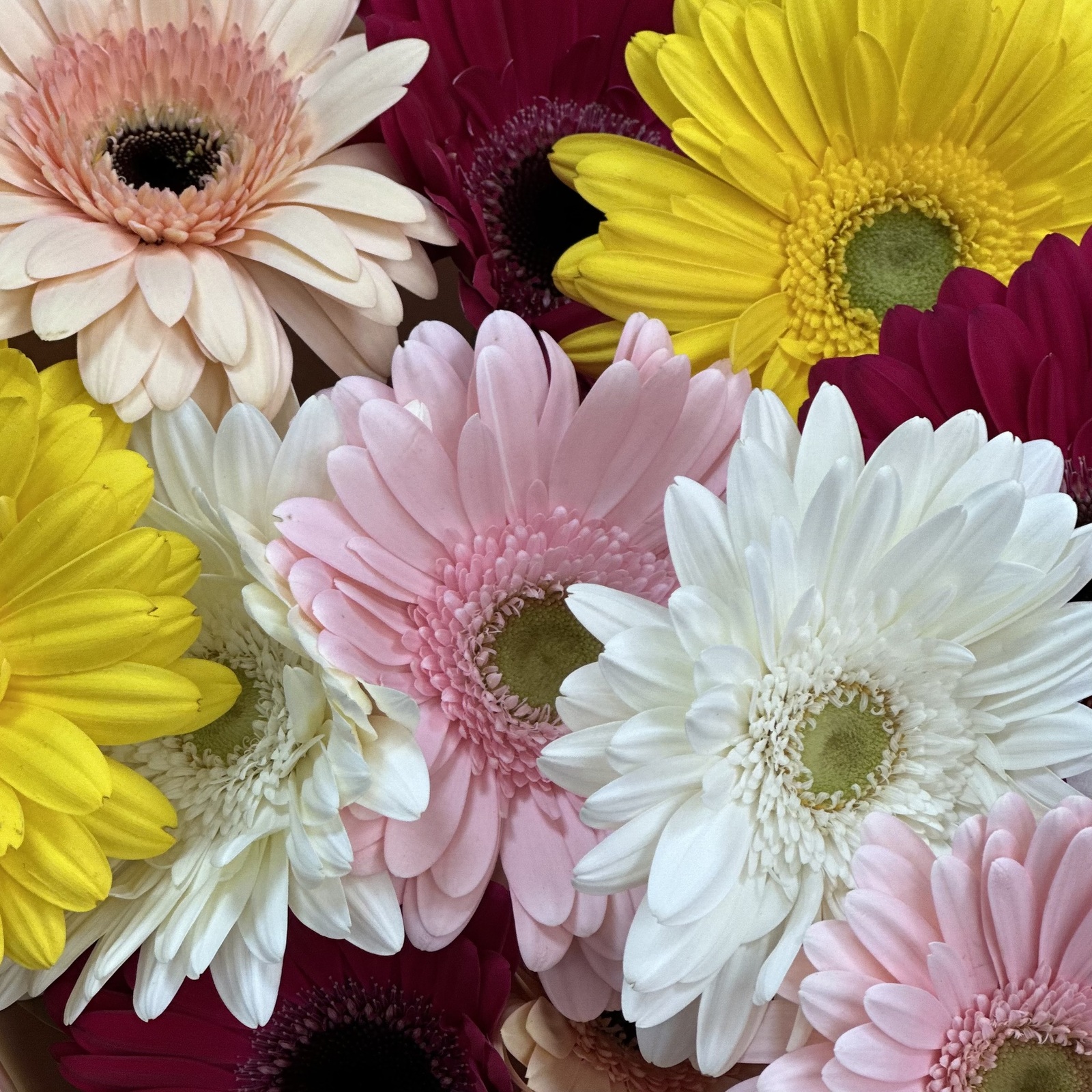 Букет Веснушки