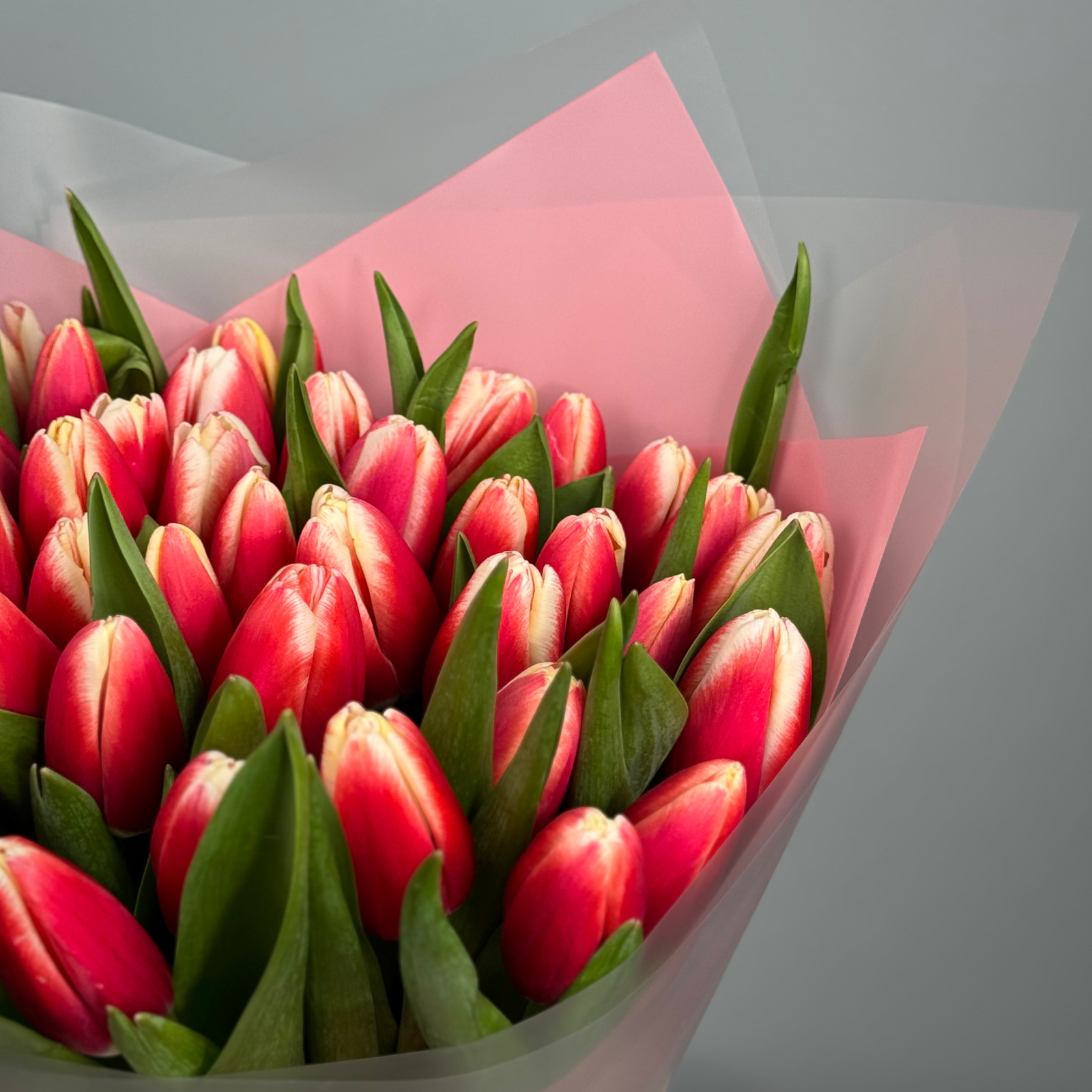 Букет из 71 красных тюльпанов