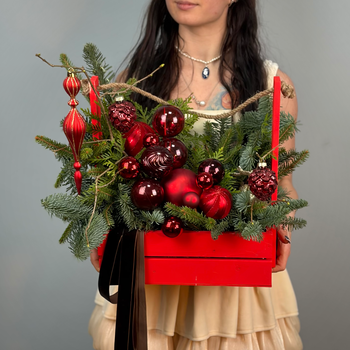 Цветы в ящике Рождественский рубин