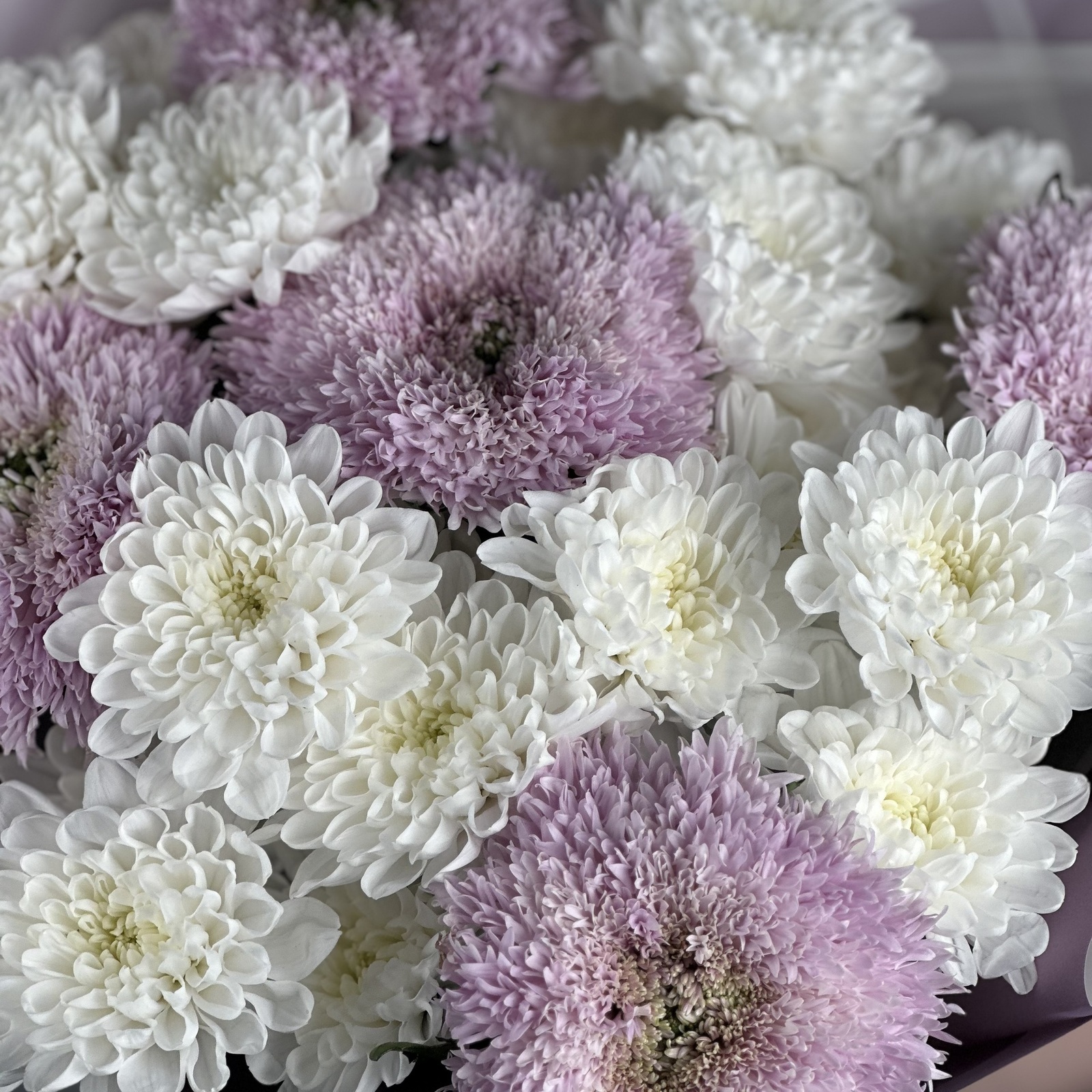 Букет Велюр