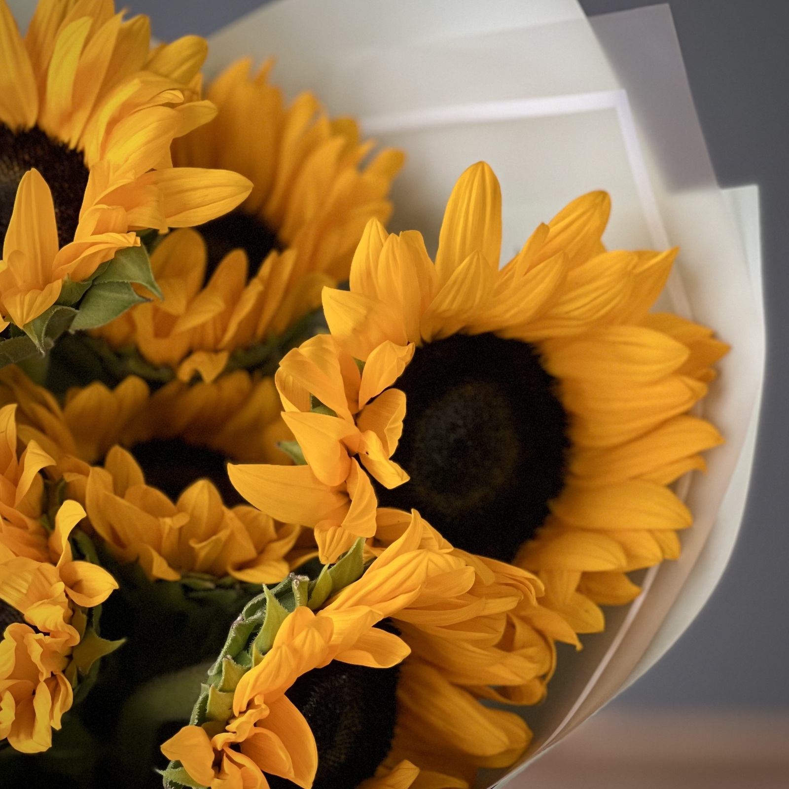 Букет из 7 подсолнухов