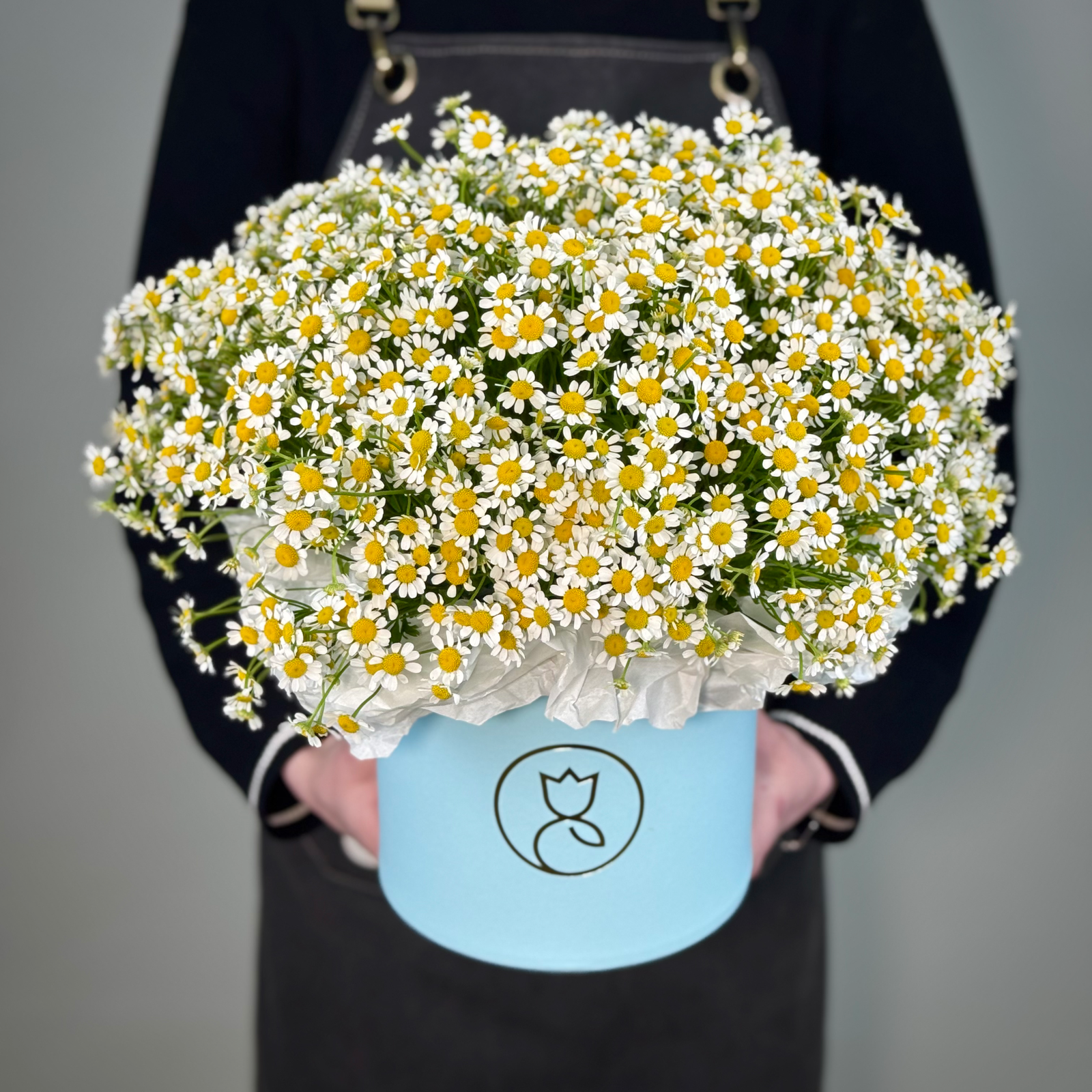 Ромашка в шляпной корообке М