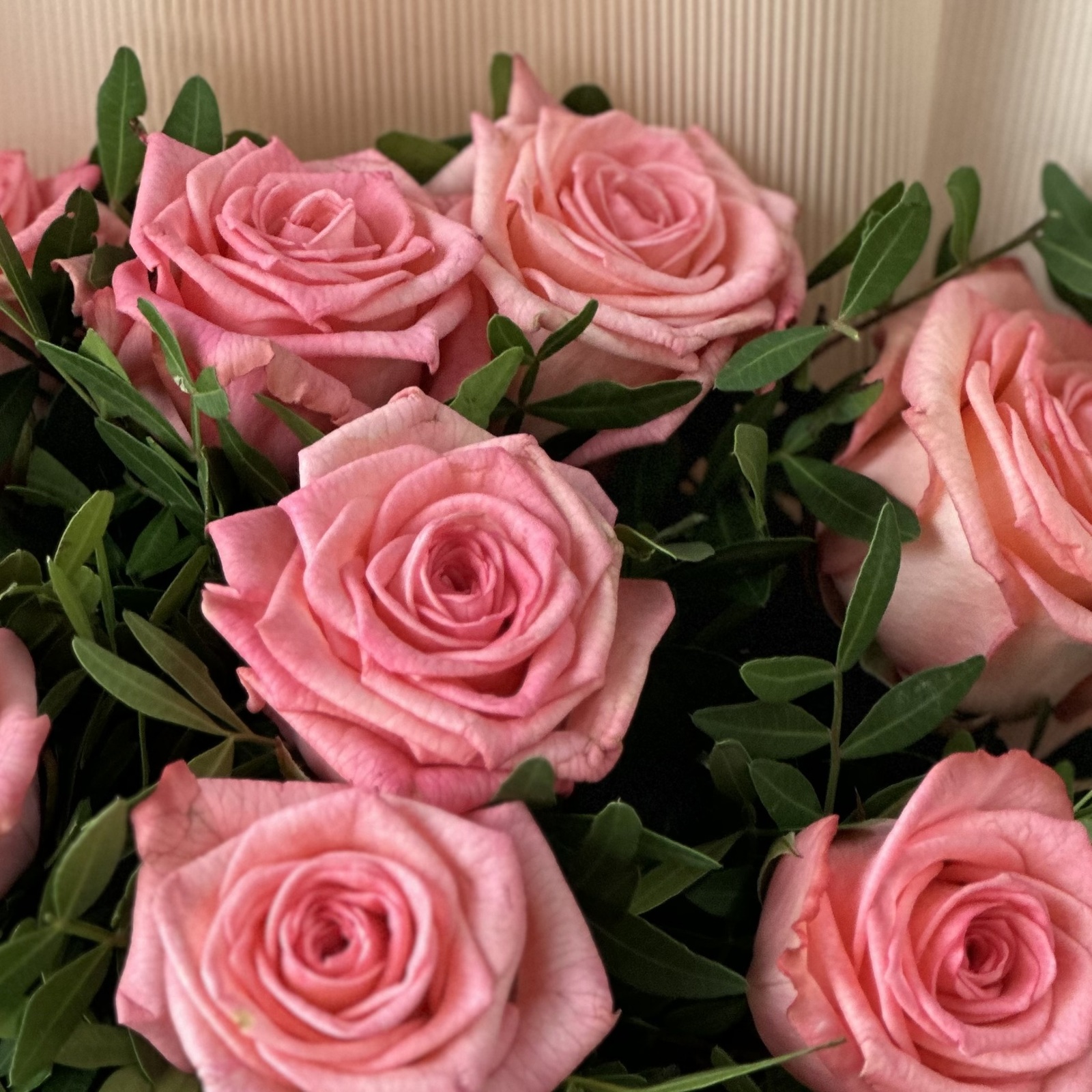 Букет из розовых роз Рассвет