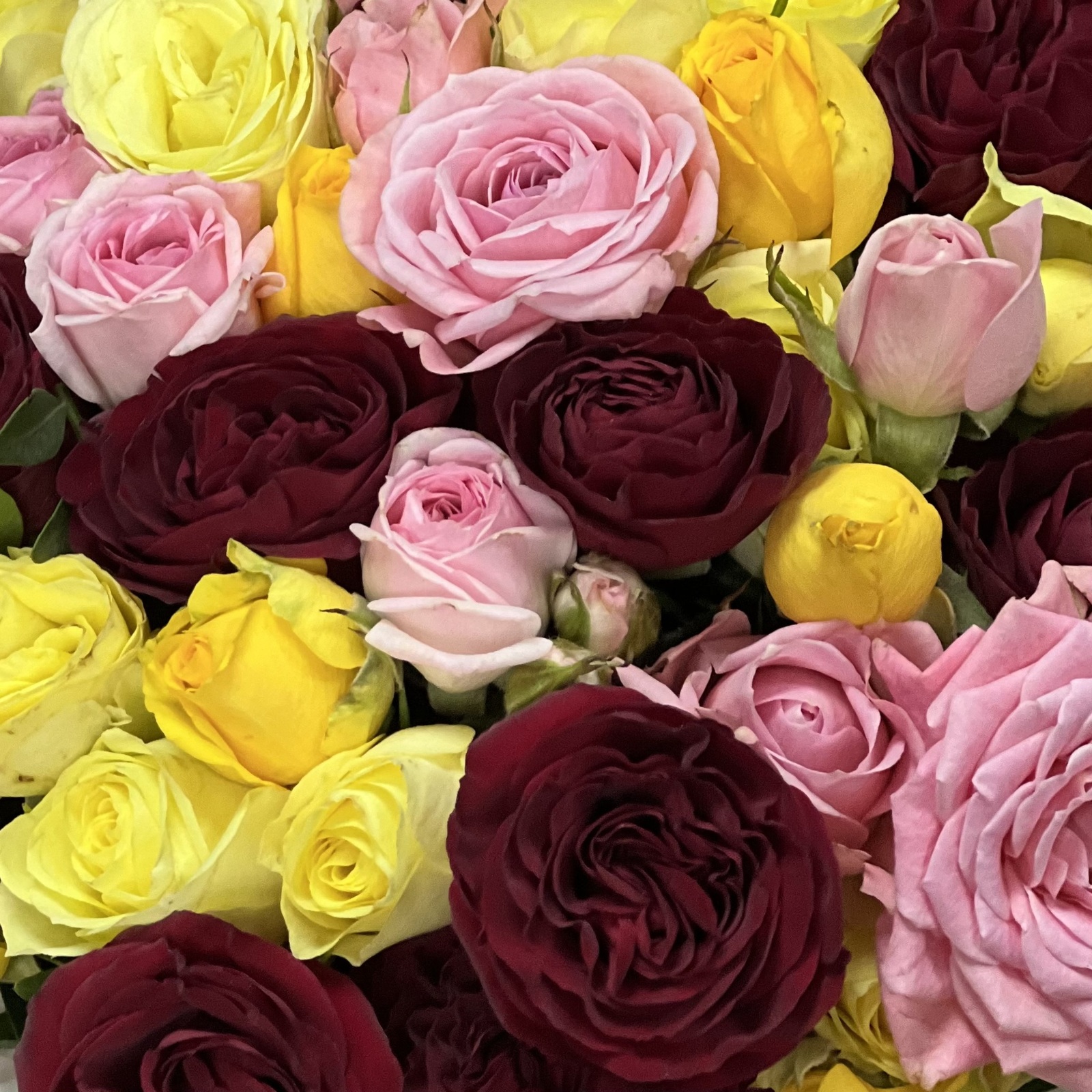 Цветы в коробке Мозайка