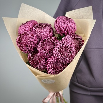 Букет из 9 черничных хризантем