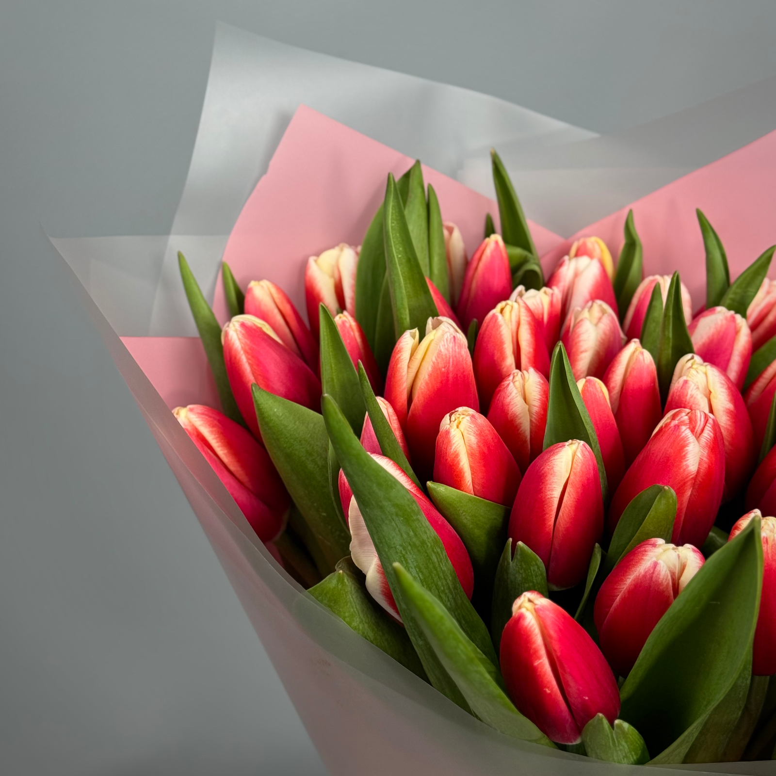 Букет из 101 красных тюльпанов