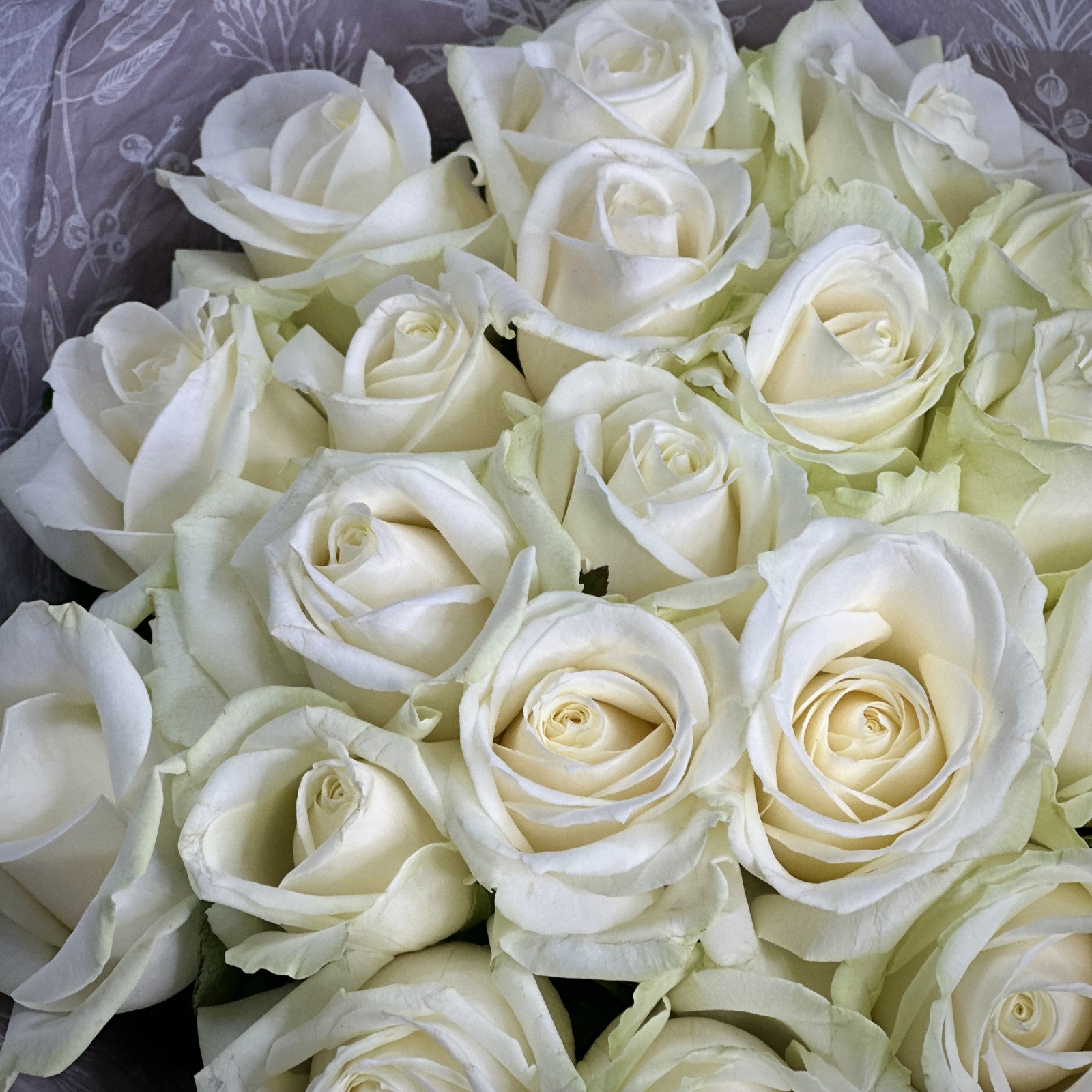 Букет Галактика