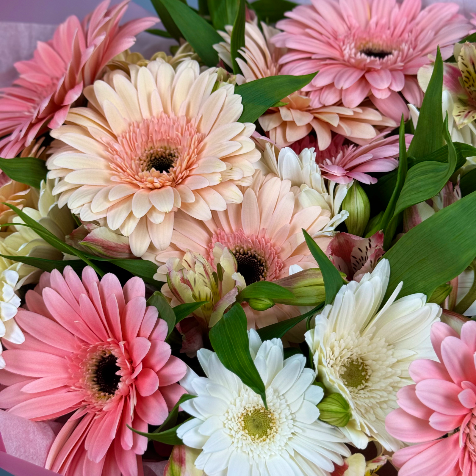 Букет Розовый бланш