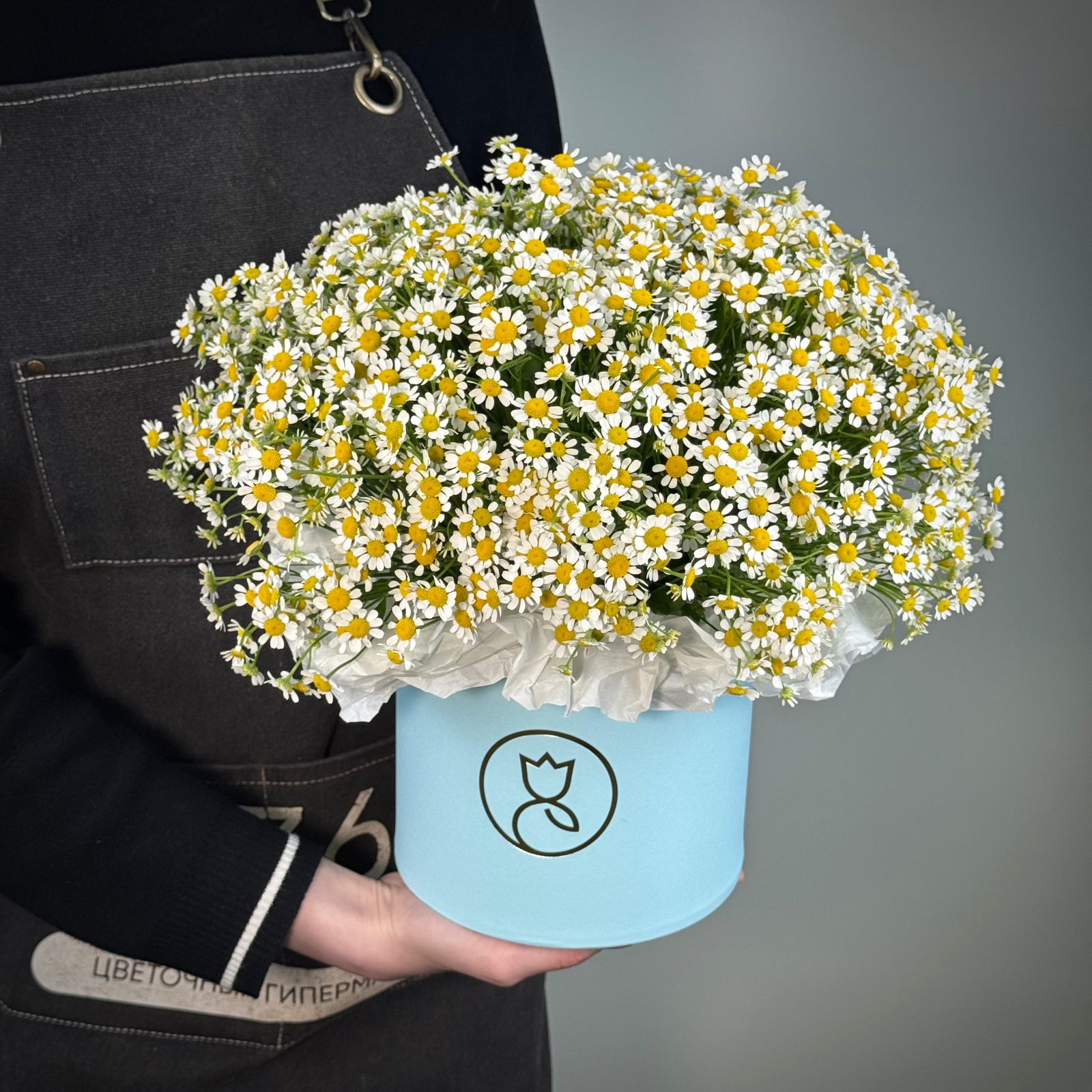 Ромашка в шляпной корообке М