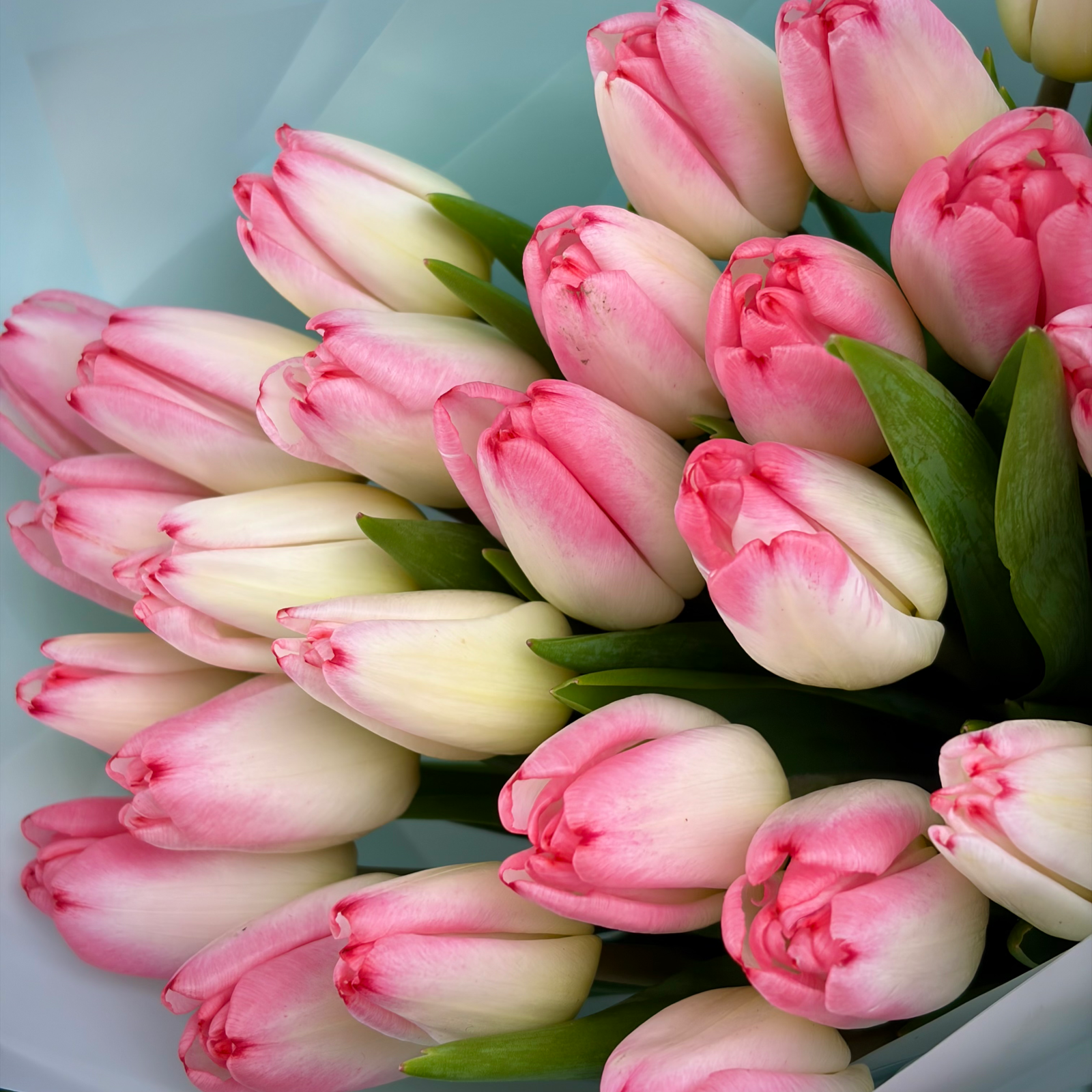 Букет из 31 розовых тюльпанов