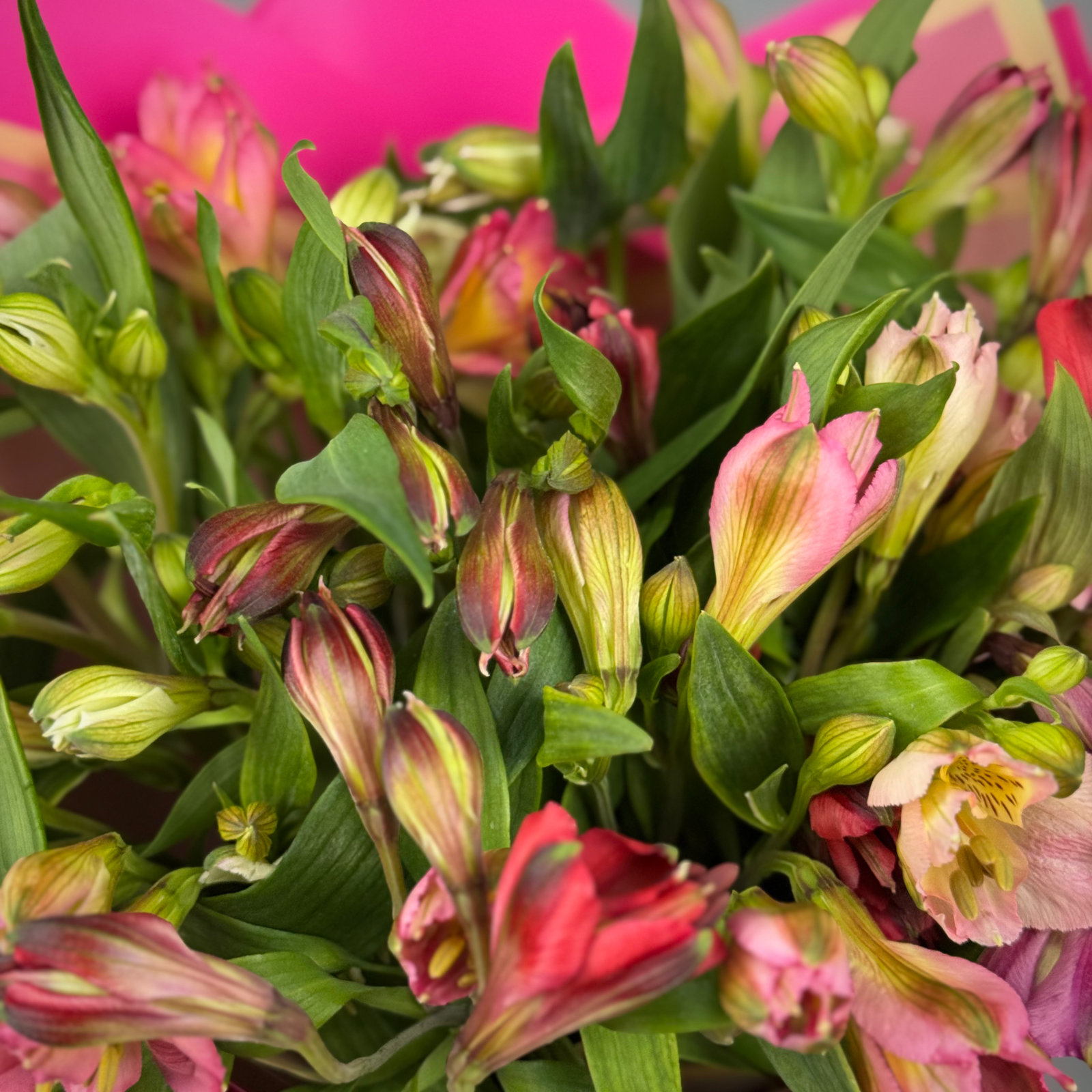 Букет из 13 альстромерий микс