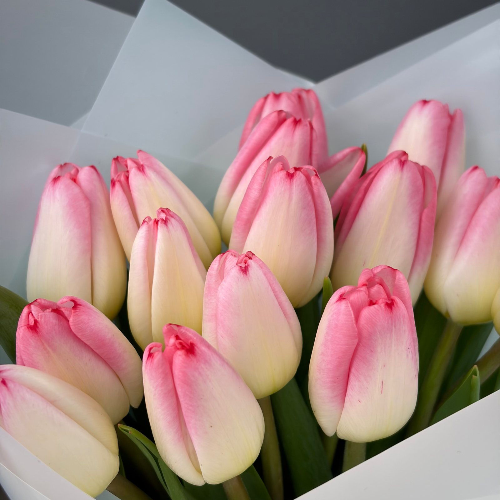 Букет из 15 розовых тюльпанов