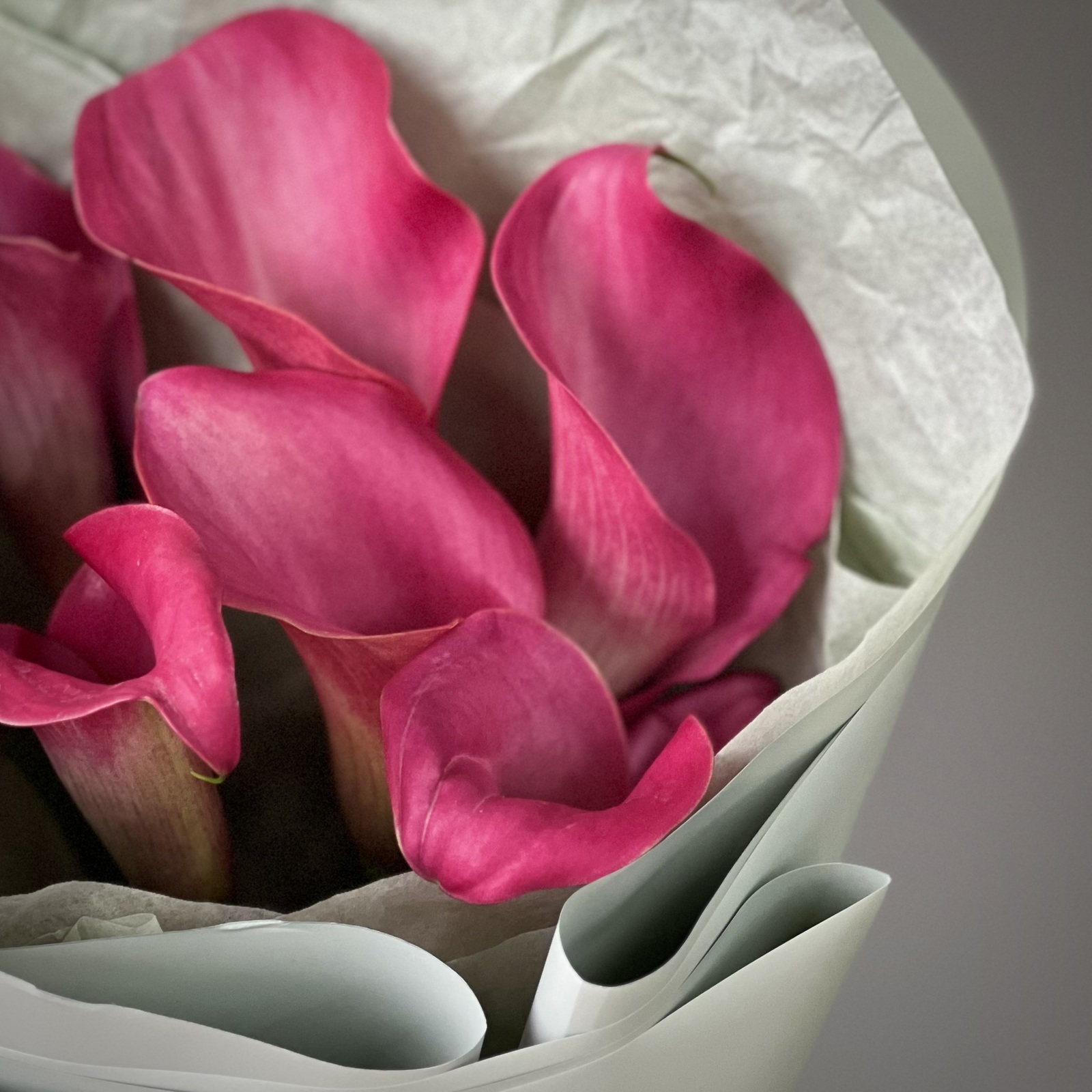 Букет из 7 малиновых калл