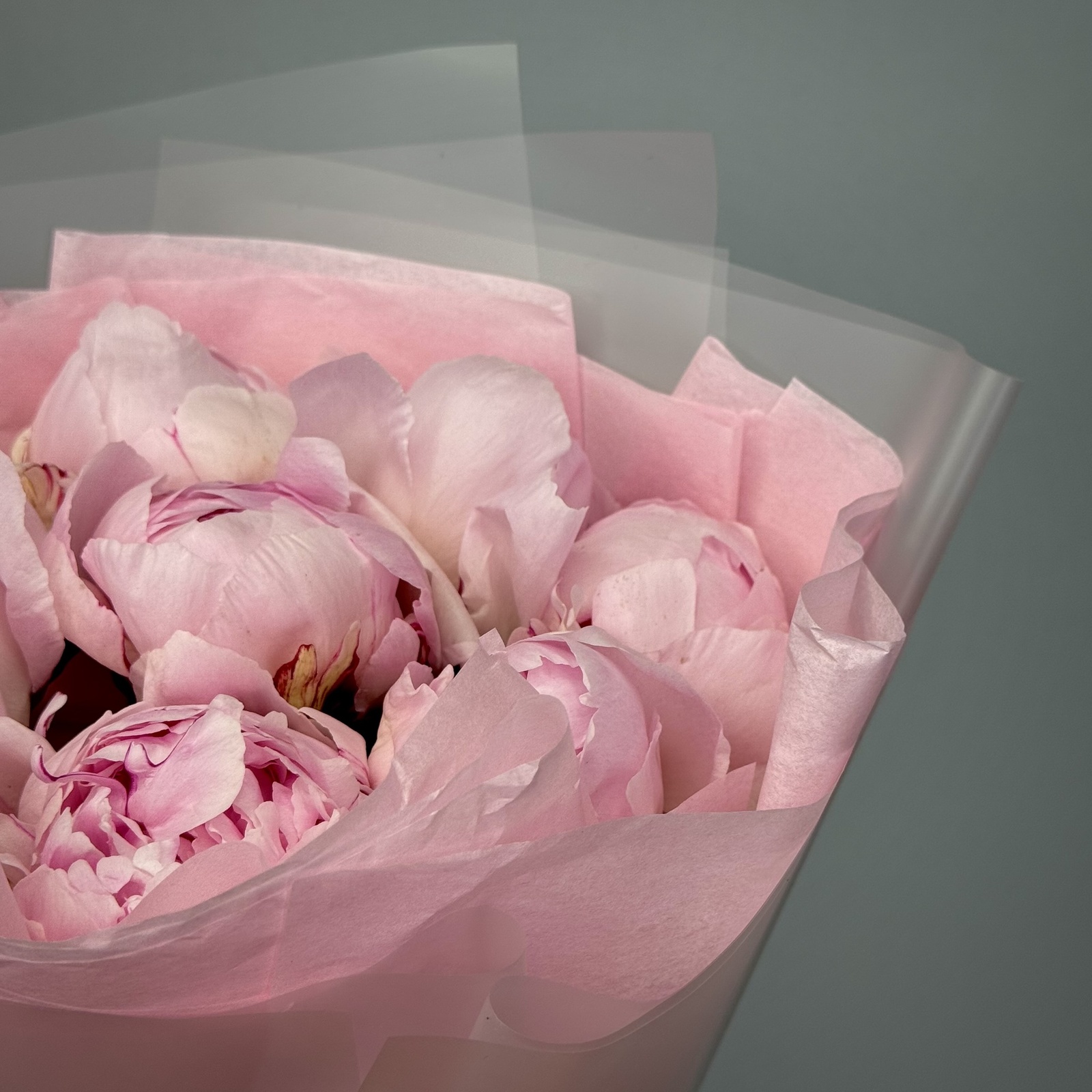 Букет из 7 пионов Сара