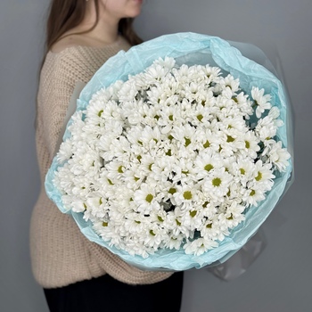 Букет из 25 белых кустовых ромашковых хризантем 