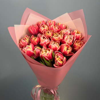 Букет из 21 малиновых пионовидных тюльпанов