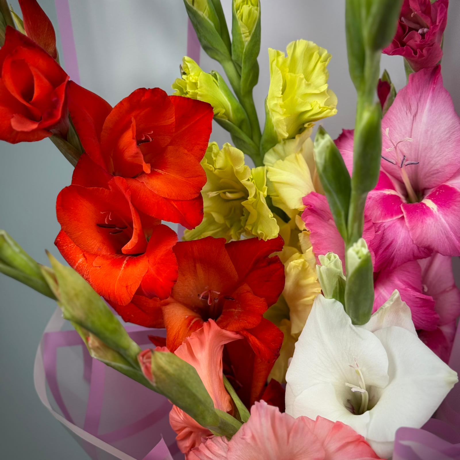 Букет из 5 гладиолусов микс