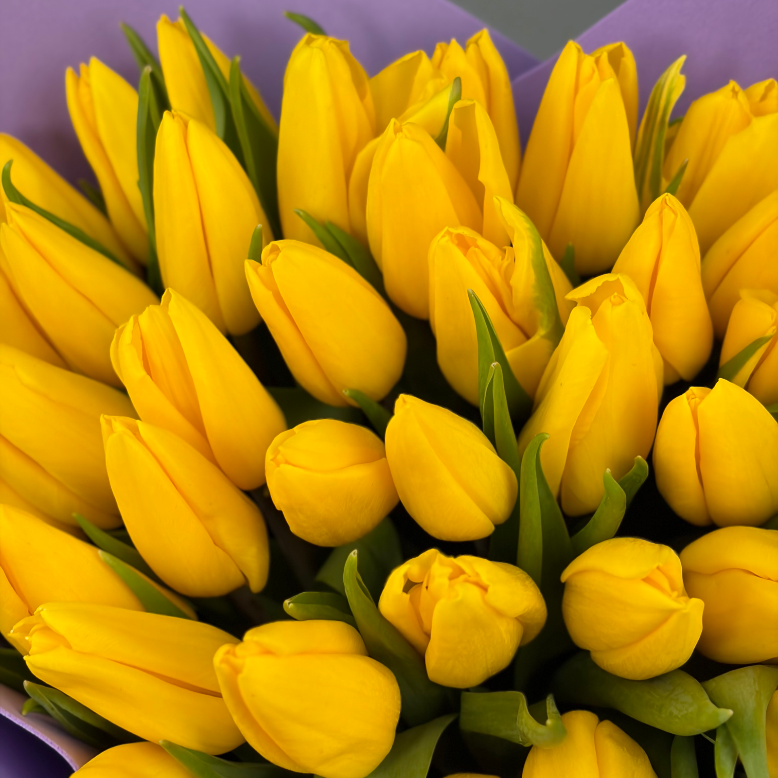 Букет из 41 желтых тюльпанов