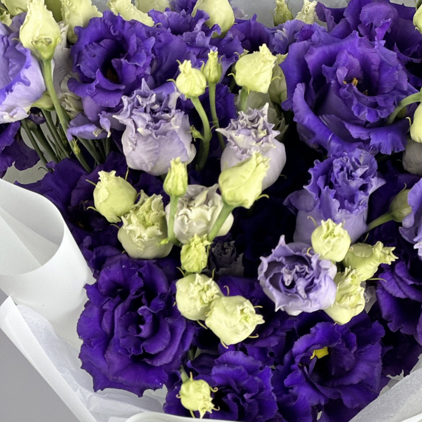 Букет из 9 фиолетовых лизиантусов