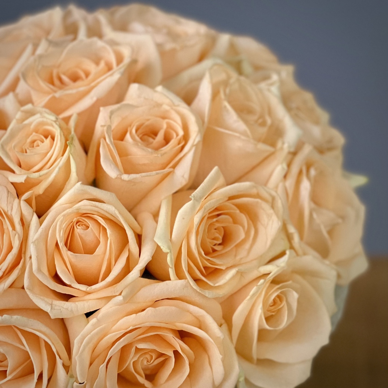 Кремовые розы в шляпной коробке S