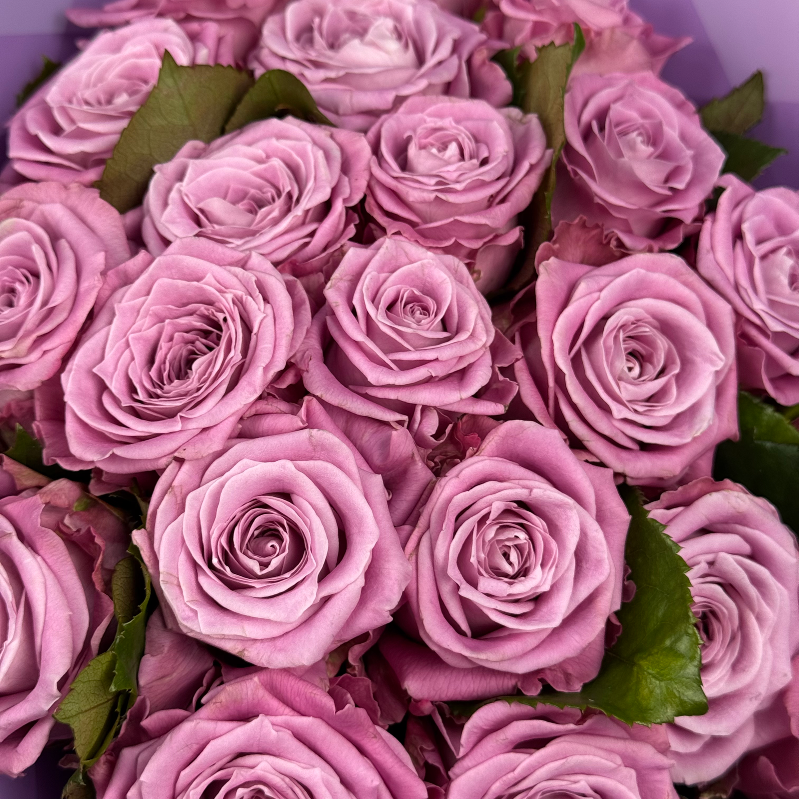 Букет из роз Марритим