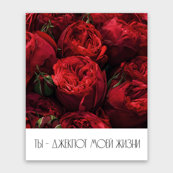 Открытка Ты джекпот моей жизни! (розы, формат мини)