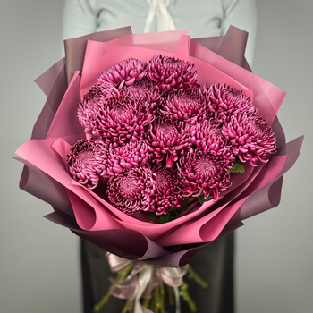Букет из 15 черничных хризантем