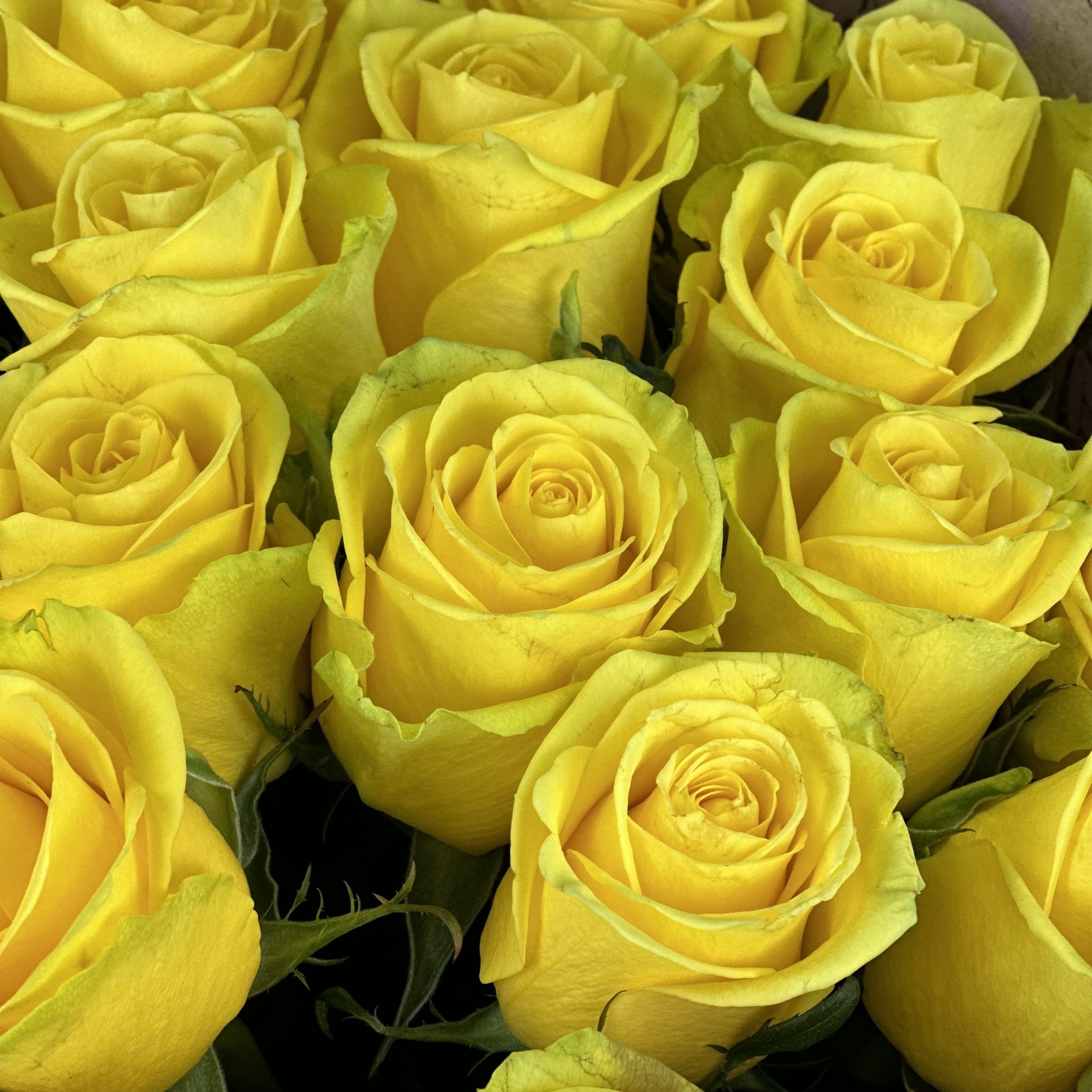 Букет Янтарь