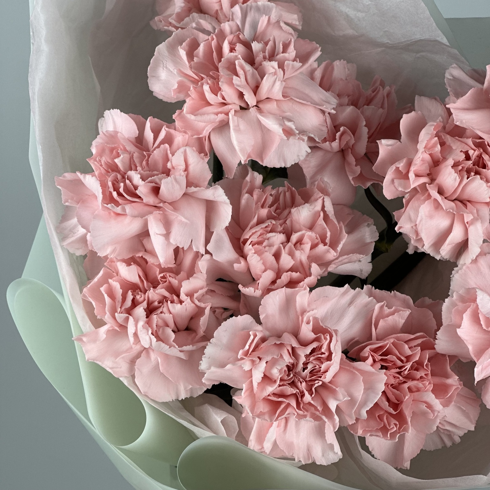 Букет из 11 розовых гвоздик