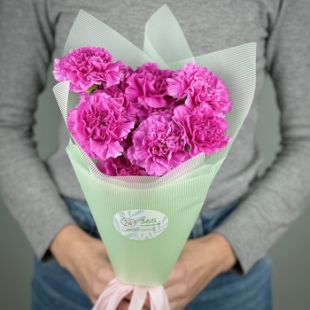 Букет из 11 малиновых гвоздик