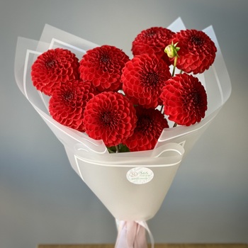 Букет из 9 красных георгинов