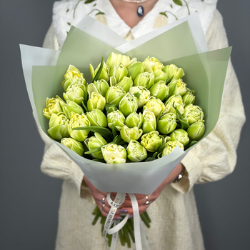 Букет из 41 светлых пионовидных тюльпанов