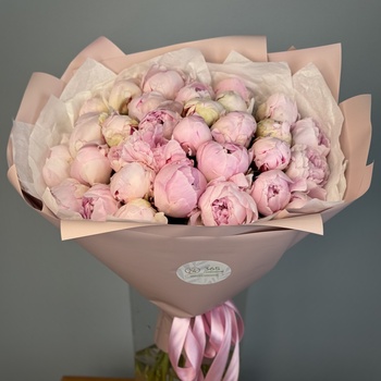 Букет из 51 пионов Сара
