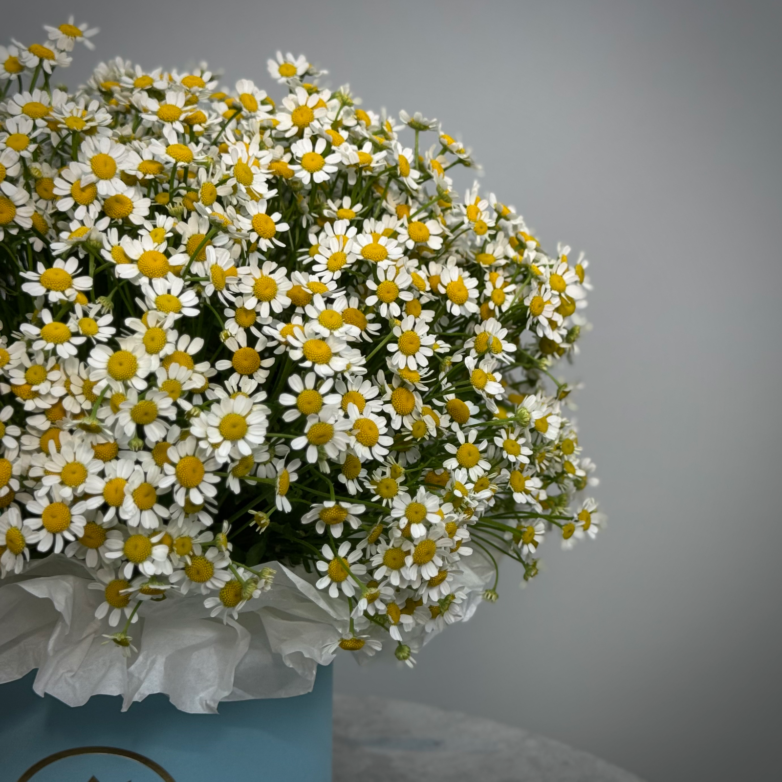 Ромашка в шляпной корообке М