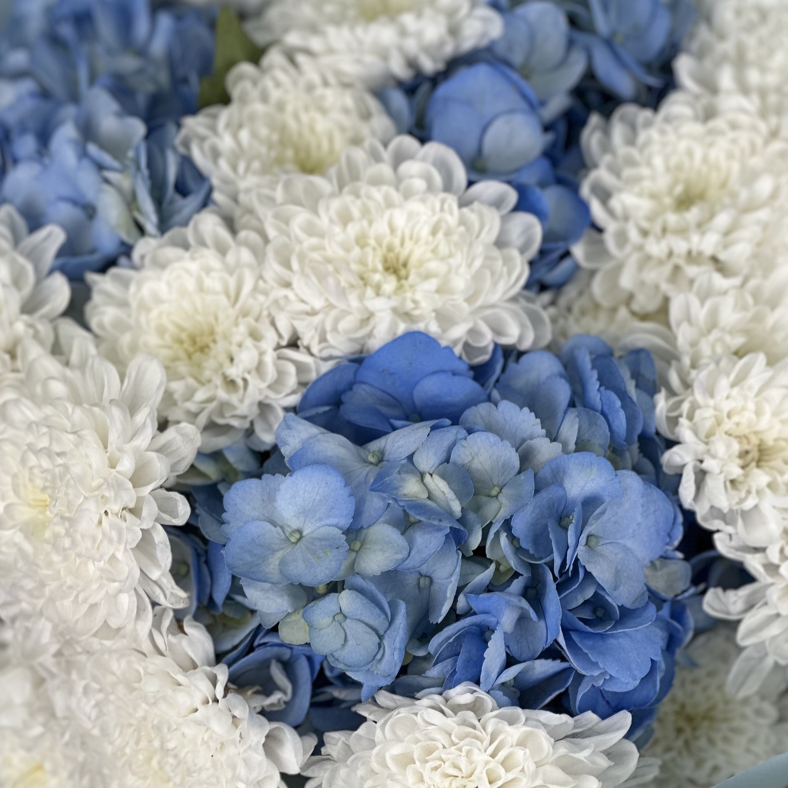 Букет Прометей