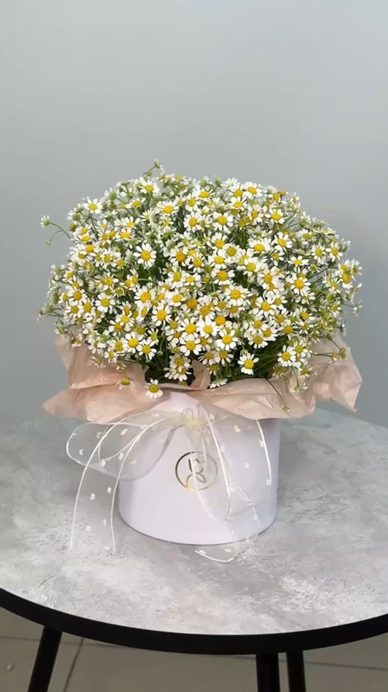 Ромашка в шляпной коробке S