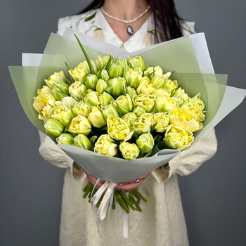 Букет из 51 светлых пионовидных тюльпанов