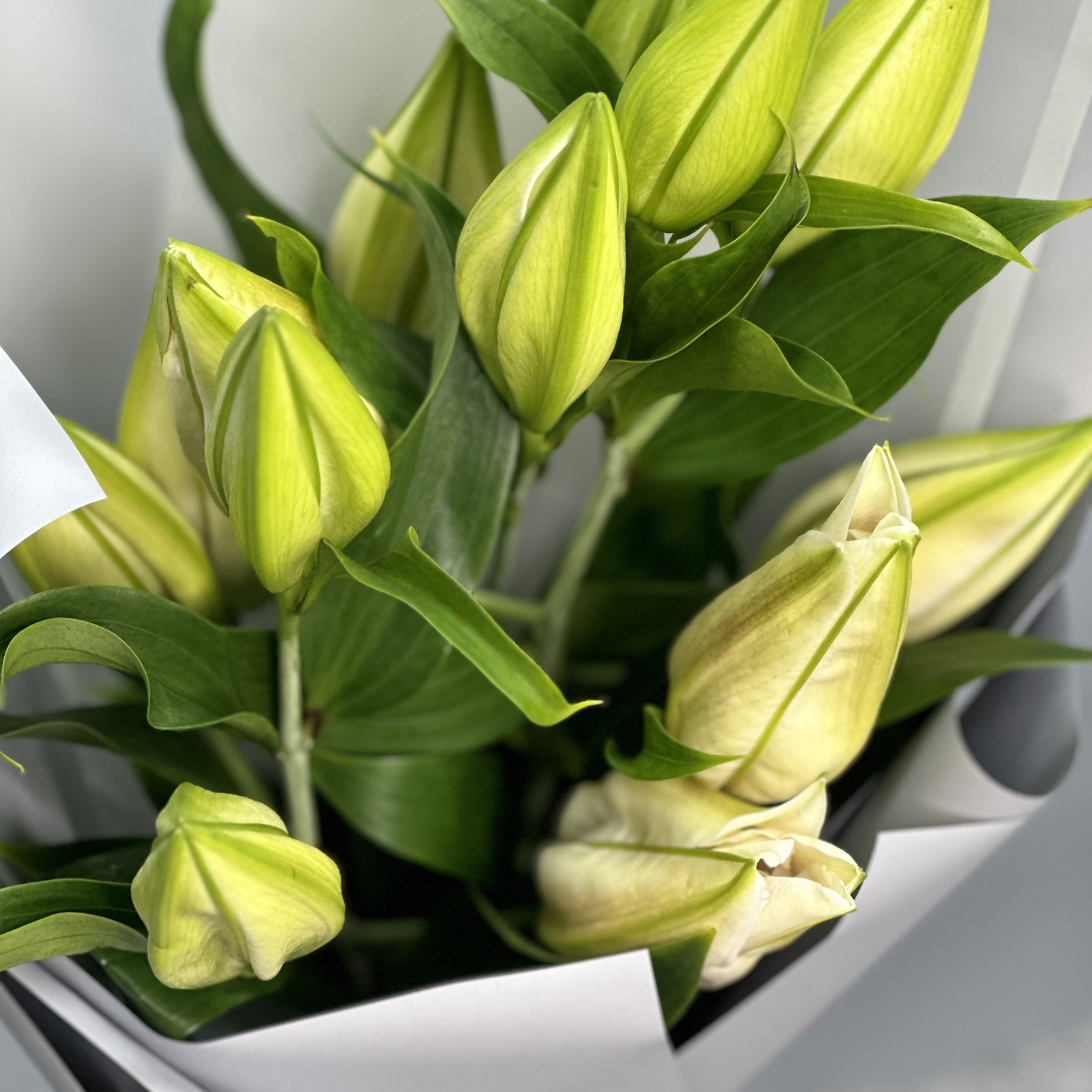 Букет из 3 белых лилий